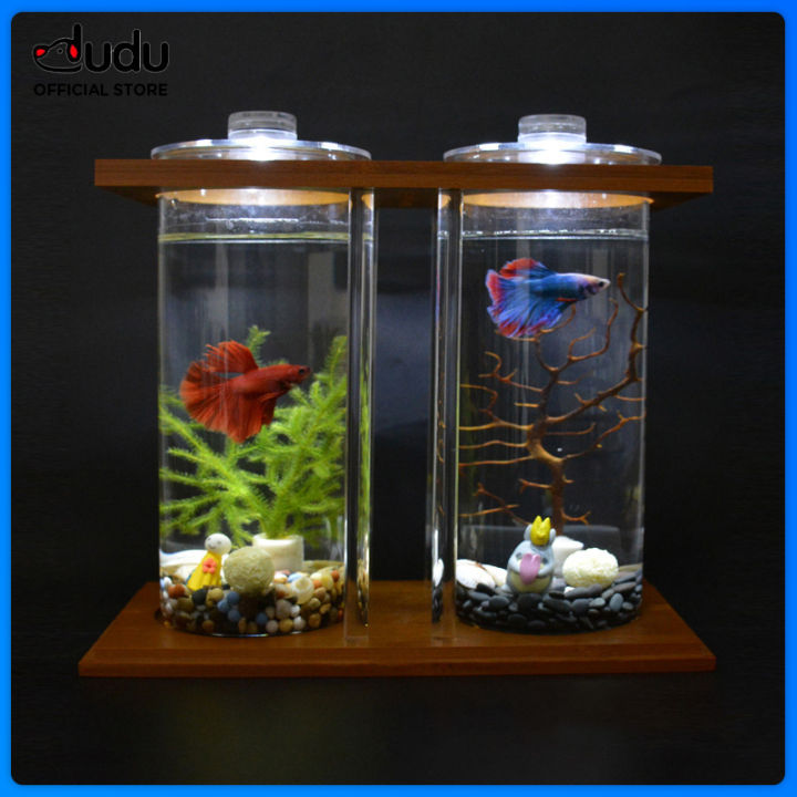 DUDU Pet Desk Fish Tank Small Aquarium Plant Terrarium Bamboo and Wood  Ecological Fish Tank for Home Table Top Office Garden Decor Lazada PH