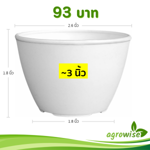 กระถาง กระถางต้นไม้ แคคตัส 2.5 นิ้ว สีขาว 50 ใบ ชิ้น อัน