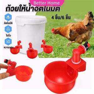 Better ถ้วยให้น้ำอัตโนมัติ สำหรับไก่ 4 ชิ้น 6 ชิ้น Automatic drinker Better