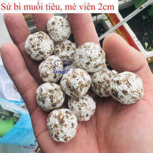 Sứ lọc dạng viên loại tốt dùng làm vật liệu lọc cho lọc ngoài lọc tràn trong hồ thủy sinh