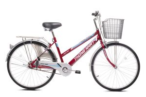 Xe đạp Thống Nhất GN 06-24 - Hàng chính hãng