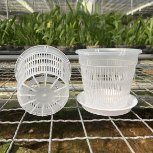 [tianjunmaoyi] 11 14cm Mesh Pot Root Control Transparent Flowerpot For Orchid Flower Breathable Growth Container Garden Plastic Flower Pot