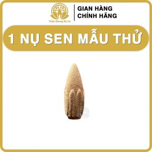 Nhang nụ trầm hương đốt xông nhà tẩy uế Trầm Hương Hà Xá đồ thờ cúng phong thủy xua đuổi vận xui thu hút nguồn năng lượng tích cực thanh lọc không khí an toàn cho sức khỏe