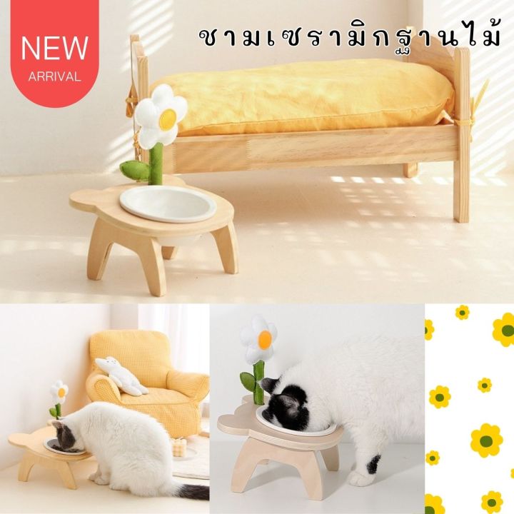 5 อันดับ ชามแมวเซรามิกยอดนิยม เสริมสุขภาพน้องแมว อัปเดตปี 2025