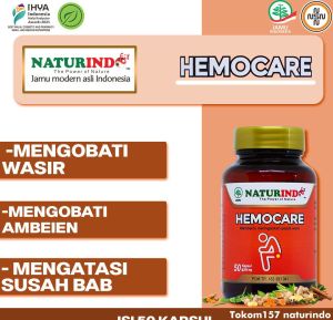 Hemocare Obat Wasir Berdarah Obat Ambeien Kapsul Ekstra Daun Ungu ISI 50 KAPSUL