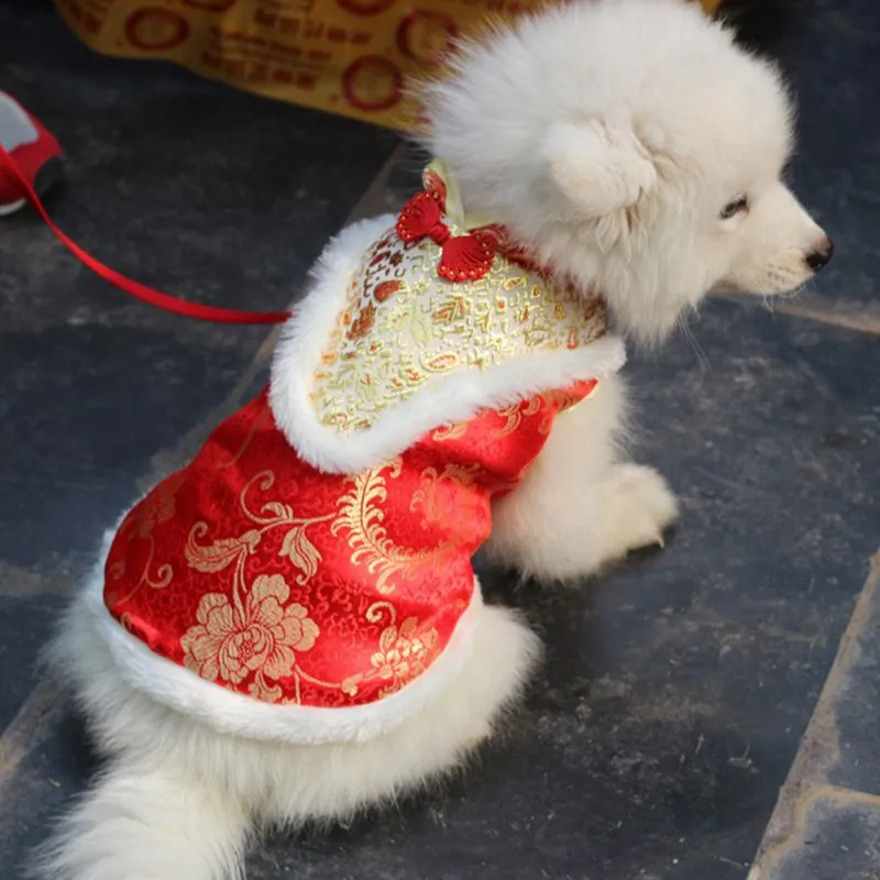Teekland Puppy Winter Chinese Style Embroidery Clothes New Year