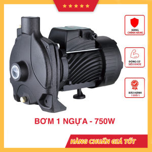 Bơm phun sương công suất cao tưới lan cây cảnh vườn rau máy khỏe chạy êm tải được 120 béc phun