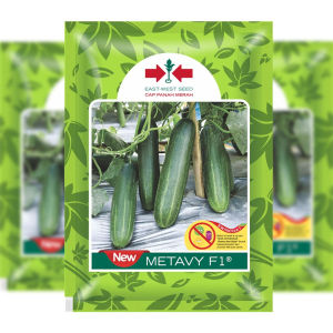 benih timun new metavy f1 150 butir