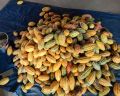 คาเคานิบส์ (Cacao Nibs) - แบบเมล็ดแตก100 กรัม ส่งตรงจากสวน รับประกันคั่วสดใหม่ทุกถุง พร้อมรับประทานหรือนำไปแปรรูปต่อได้. 