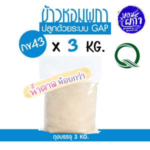 ข้าวกข43 แท้ 100% I 泰国大米品种编号43 RD43 Rice Varaity I ตราหอมผกา ขนาดบรรจุ 3 กก. ปลูกด้วยระบบ GAP มีการควบคุมการใช้สารเคมีจากกรมการข้าว หอมนุ่ม อร่อย ให้น้ำตาลน้อย