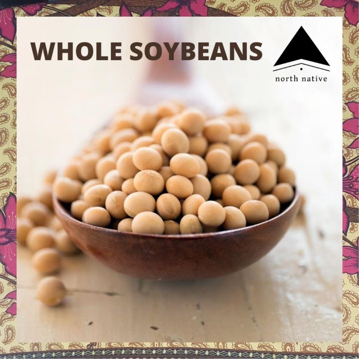 Sproutable Whole Soybeans / Soya Soy NONGMO 1kg Lazada PH