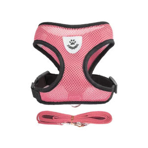 Adjustable Breathable Vest Style Pet Harness And Leash Set Comfort Wearable Outdoor Walking Traction Kit Flexible Size Fit Puppy Dog And Cat Safe Sturdy Daily Outdoor Travel Walking Training Accessories