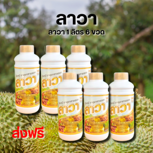 ปุ๋ยน้ำลาวา 1 ลิตร 6 ขวด สารช่วยเร่งทางใบให้กับพืชทำให้พืชเจริญเติบโตได้ไว เพิ่มผลผลิตให้กับพืช ธาตุอาหารรอง+เสริม ครบถ้วน