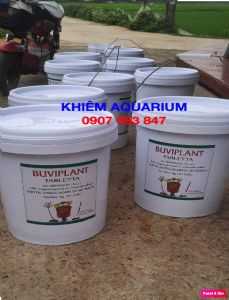 [TẶNG 35V]Gói vitamin TAN CHẬM Buviplant cho cây cảnh lan hồng bonsai 100v