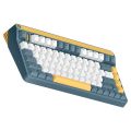 iQUNIX A80 Explorer Wireless Non-Backlit Hot-Swappable Mechanical Keyboard [Cherry MX Silent Red]. 