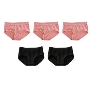 GS  5 pcs Women Panties Honeycomb Warm Palace Seamless Underwear Hip Raise Cotton Stretch Briefs 156