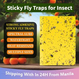 Fruit Fly Traps Fungus Gnat Traps Yellow Sticky Bug Traps Non-Toxic and Odorless for Indoor Outdoor Use Protect The Plant
