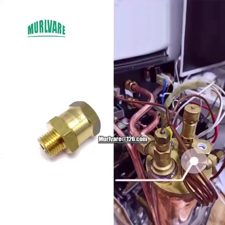 Espresso Machine Accessories Boiler Valve Steam Valve Vacuum Valve