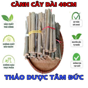 combo 10 cành cây dài 40cm làm decor trang trí