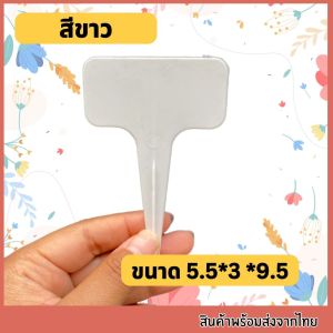 ป้ายเขียนชื่อต้นไม้แพ็คละ 20 ใบ ป้ายแท็ก สีสันสนใส