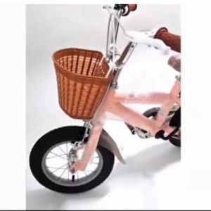 SG Kids Bicycle Fully Assembled Vintage Kids Bike with Training Wheels