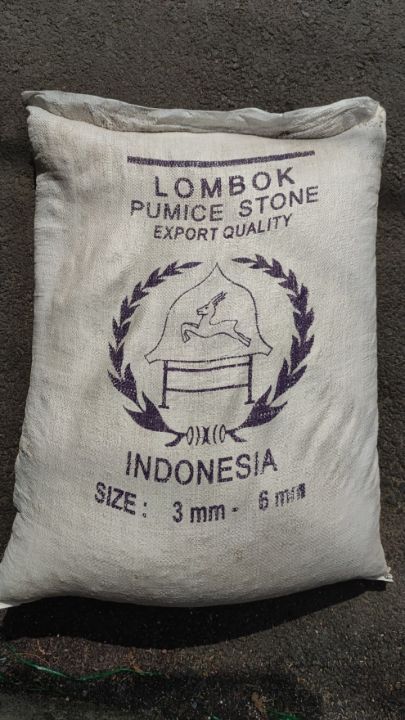 %C4%90%C3%A1%20Pumice%20(%20%C4%90%C3%A1%20b%E1%BB%8Dt%20%C4%91%C3%A1%20n%C3%BAi%20l%E1%BB%ADa)%20g%C3%B3i%201kg%20d%C3%B9ng%20tr%E1%BB%99n%20gi%C3%A1%20th%E1%BB%83%20tr%E1%BB%93ng%20c%C3%A2y%20gi%C3%BAp%20gi%E1%BB%AF%20%E1%BA%A9m%20t%E1%BB%91t,%20tho%C3%A1ng%20r%E1%BB%85,%20nh%E1%BA%B9%20-%20Image%209