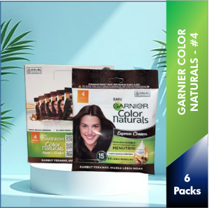 【Pack of 6】 #4 Brown - Garnier Hair Color Naturals Express Cream SACHET Hair Dye