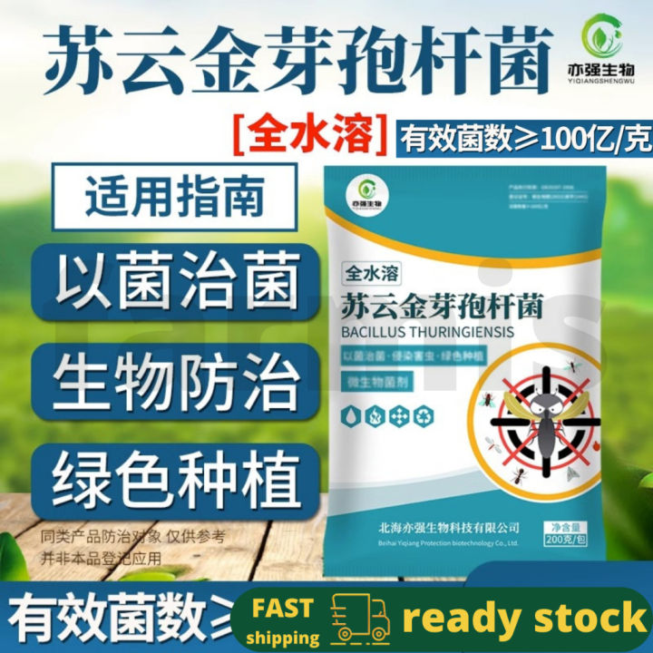 100亿 苏云金杆菌 Bacillus Thuringiensis 玉米螟钻心虫小菜蛾植物生物防昆虫菜青虫 | Lazada