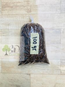 Benih sayur kenikir buat lalapan bunga berwarna ungu