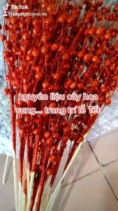 Set nguyên liệu trang trí tháp oản bánh kẹo thêm mẫu cóc tài lộc và quạt kéo vang tài lộc trang trí lễ Tết