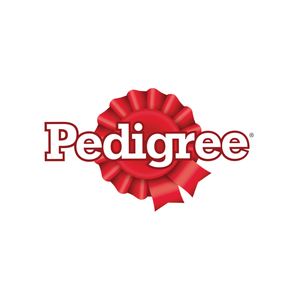 PEDIGREE Tasty Bites Chewy Cubes Treats for Dogs – Dog Treats in Lamb Flavor 50g