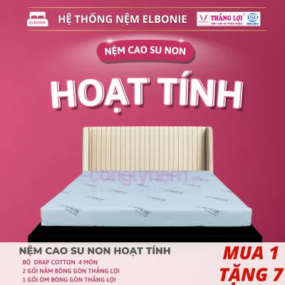 Nệm Cao Su Hoạt Tính Thắng Lợi Chính Hãng - Đủ Size - BH 15 NĂM - Giao Siêu Nhanh - Cao Su Non Êm ái thoáng khí Kháng Khuẩn Khử mùi siêu tốt VOUCHER 12%