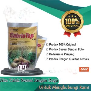 Fungisida Sistemik Cabriotop Cabrio Top 60 WG BASF 250 Gram