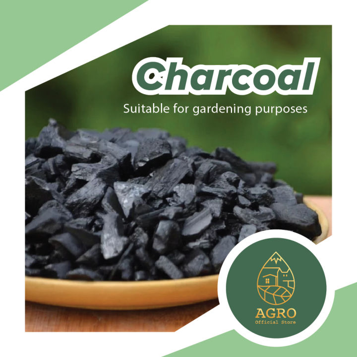 CHARCOAL ARANG ORKID 1KG Horticultural Charcoal BBQ Arang Kayu ...
