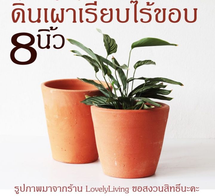 กระถางดินเผาทรงเรียบ ไร้ขอบ Classic 8 นิ้ว