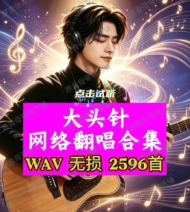 NGHG MALL--最新2026 超好听发烧歌曲男声  AI大头针 翻唱国语粤语 流行+经典老歌 无损WAV-16BIT 高品质 音乐U盘 128GB-2596首WAV  New 2026 Super nice fever song male voice AI pin cover Mandarin Cantonese pop+classic old songs lossless WAV-16BIT high quality music USB flash drive 128GB-2596 WAV