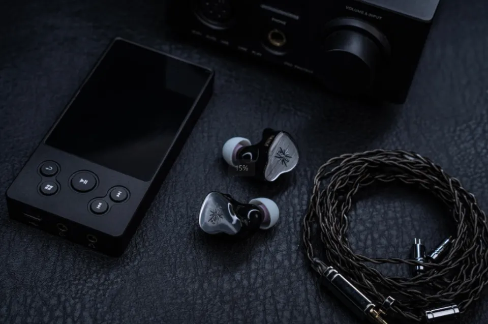 Kiwi Ears KE4 Completely Redesigned 2DD+2BA Hybrid Driver IEM