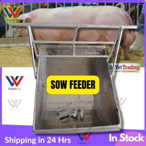 Viddavet Stainless Sow Feeder with 2 pcs galvanize doorlock Sow feeder stainless for pig stainless sow feeder sow feeder