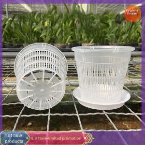 Graceful 11 14cm Mesh Pot Root Control Transparent Flowerpot For Orchid Flower Breathable Growth Container Garden Plastic Flower Pot