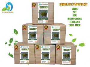 MONGGO GROWING KIT - READY TO USE/COMPLETE PACKAGE/POT/SOIL/SEEDS/MANUAL/LABEL STICK