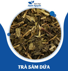 Sâm bổ lượng và tổng hợp 30 nguyên liệu nấu trà sâm trà bí đao set trà mix sẵn mát gan thanh nhiệt cho cả gia đình - Thảo Dược Hạnh Nguyên