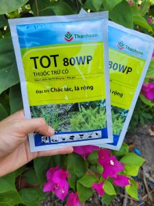 [TRUNG THIEN THINH] Thuốc trừ cỏ chác lác cỏ lá rộng TOT 80WP thay thế 24D gói 25gram