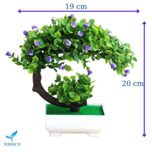 Chậu cây giả mini để bàn dễ thương giá rẻ Kèm chậu