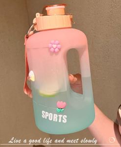 1.65L Frosted Gradient Color Water Bottle