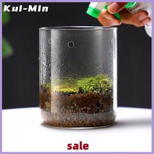Kui-Min Glass Bottles Creativity Dew Collection Glass Vase Micro Landscape Succulent Moss Landscape Glass Terrarium Home Decor