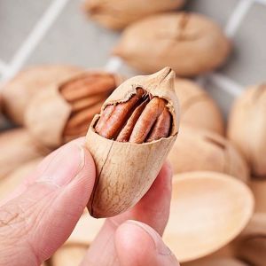 [ Includes mouth opener ] Macadamia nuts pistachios pecans almonds  Nuts Pistachio Balmond Pecan Nuts Macadamia Nuts Snacks