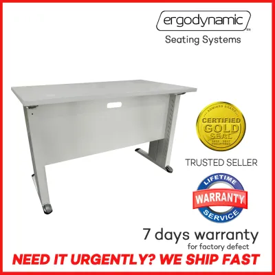 Ergodynamic FST120x60GGR Free Standing Metal Office Desk with 2 Grommet Holes 120x60cm Study Desk Study Table Work From Home Desk Table Working Table Work Table Gaming Table Work From Home Table Executive Table Call Center Workstation (Grey)