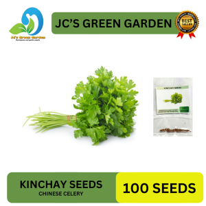 VALUE PACK (100 SEEDS) KINCHAY SEEDS/CHINESE CELERY/FOR PLANTING