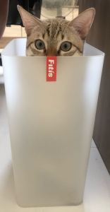 Thùng Rác Fitis Mono Chữ Nhật