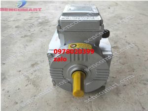 Mô tơ - động cơ điện toàn phát tốc nhanh 15kw